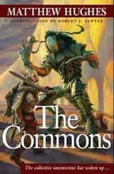 Cover of The Commons
