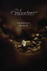 Cover of The volunteer