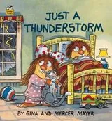 Cover of Just a thunderstorm