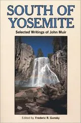 Cover of South of Yosemite
