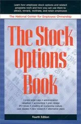 Cover of The Stock Options Book