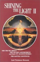 Cover of Shining the Light II