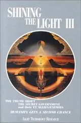 Cover of Shining the Light III (Shining the Light)