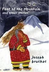 Cover of Foot of the mountain and other stories
