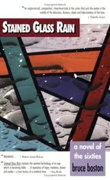 Cover of Stained glass rain