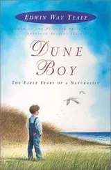 Cover of Dune boy