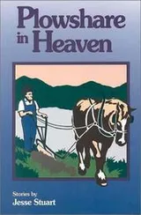 Cover of Plowshare in heaven