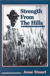 Cover of Strength from the hills