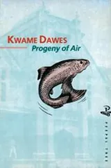 Cover of Progeny of air