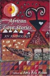 Cover of African Love Stories