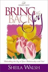 Cover of Bring back the joy