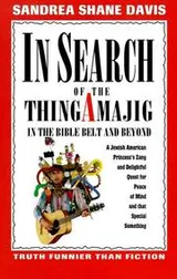 Cover of In search of the thingamajig