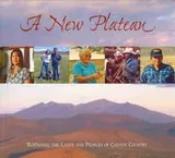 Cover of A new plateau