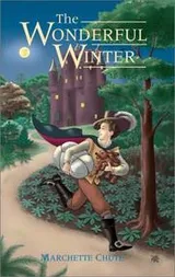 Cover of The wonderful winter