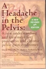 Cover of A headache in the pelvis