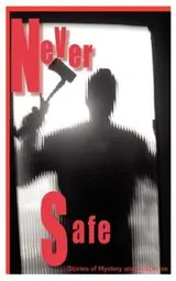 Cover of Never Safe