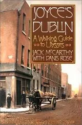Cover of Joyce's Dublin