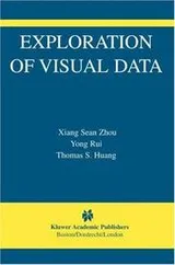 Cover of Exploration of visual data