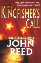 Cover of The Kingfisher's Call