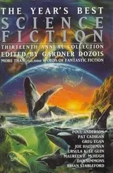 Cover of The Year's Best Science Fiction, Thirteenth Annual Collection