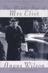 Cover of The middle age of Mrs. Eliot