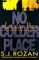 Cover of No Colder Place