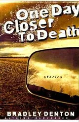 Cover of One day closer to death