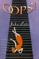 Cover of Oops!:(Alo Nudger, #10)