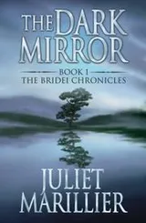 Cover of The Dark Mirror (Bridei Chronicles 1)