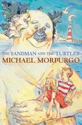 Cover of The Sandman and the Turtles