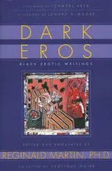 Cover of Dark Eros