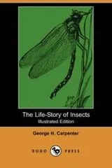 Cover of The life-story of insects