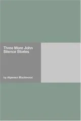 Cover of Three More John Silence Stories