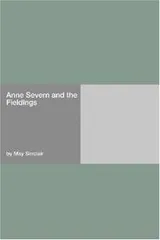 Cover of Anne Severn and Fieldings
