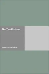 Cover of The Two Brothers