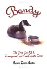 Cover of Bandy