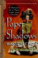 Cover of Paper Shadows