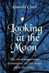 Cover of Looking at the Moon