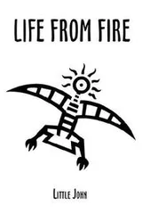 Cover of Life From Fire