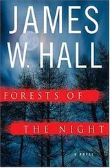 Cover of Forests of the Night