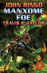 Cover of Manxome Foe (Looking Glass)