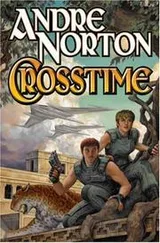 Cover of Crosstime