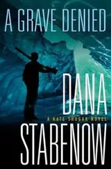 Cover of A grave denied