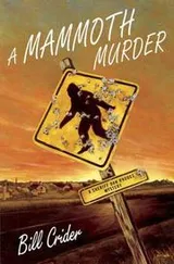 Cover of A mammoth murder