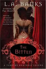 Cover of The Bitten