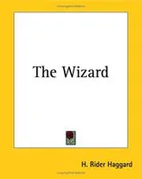 Cover of The Wizard