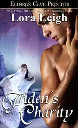 Cover of Wolf Breeds