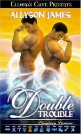 Cover of Double Trouble (Planetary Passions)