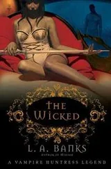 Cover of The Wicked