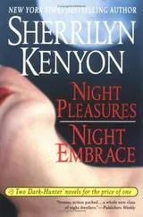 Cover of Night Pleasures/Night Embrace (Dark-Hunter Novels Books 2 and 3)